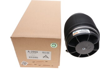Arnott A-2960