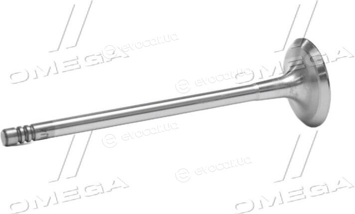 Gunes 7902
