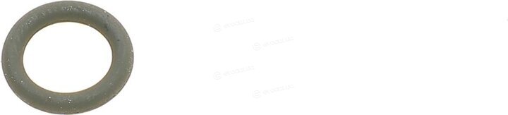 Elring 855.060