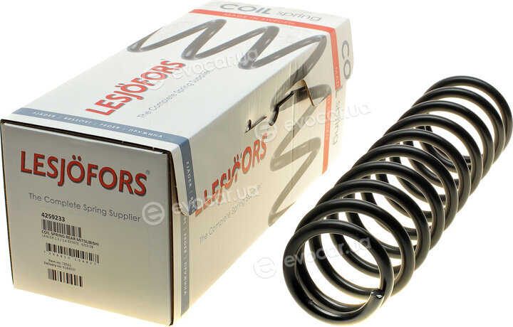 Lesjofors 4259233