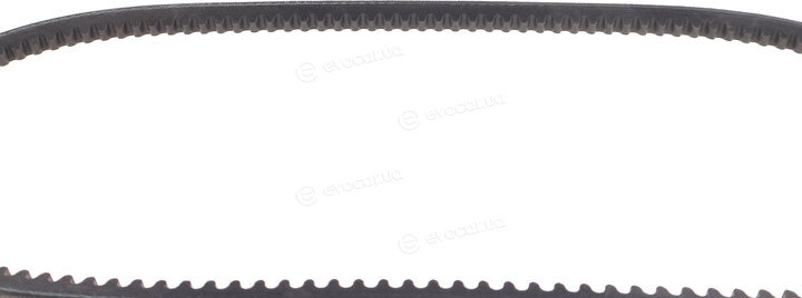 Hutchinson AV 10 La 800