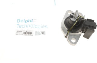 Delphi TEM008
