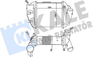 Kale 352390