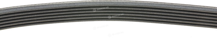 Continental 6PK1285