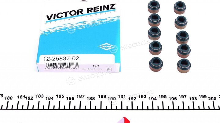 Victor Reinz 02-28988-04