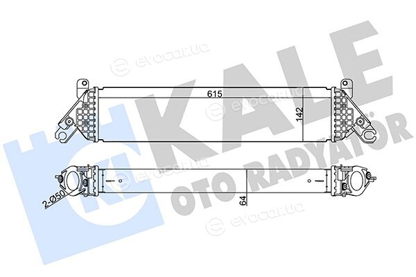 Kale 344960