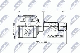 NTY NPW-MZ-038
