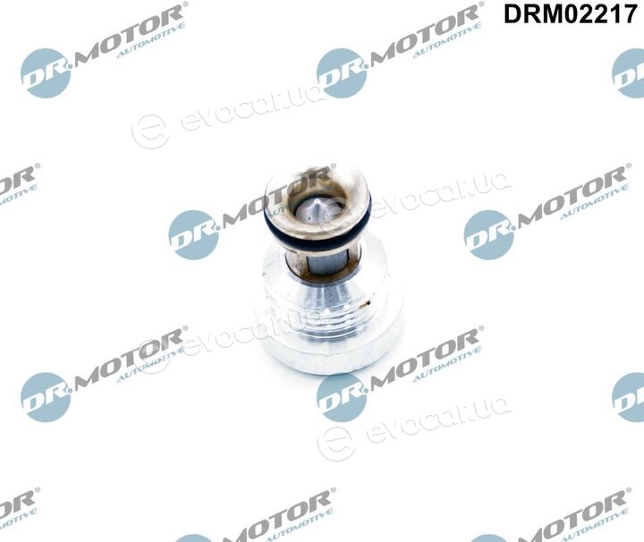 Dr. Motor DRM02217