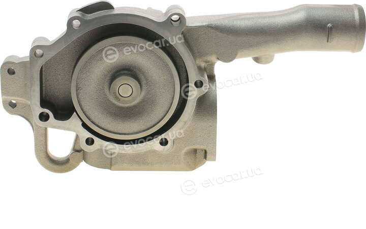 Hepu P1554