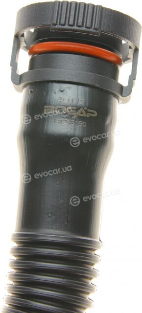 Bogap B1210160