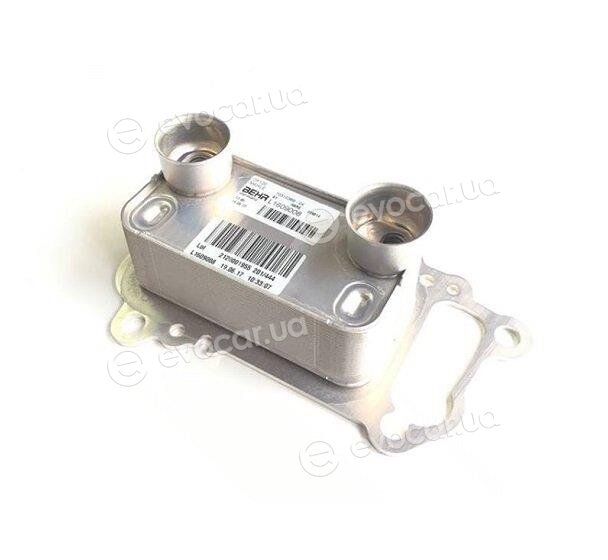 BMW / Mini 11427802113