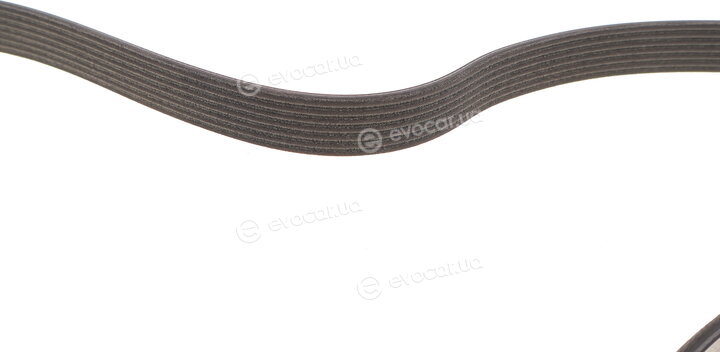 Dayco 7PK1377S