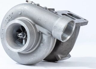 BorgWarner 316756
