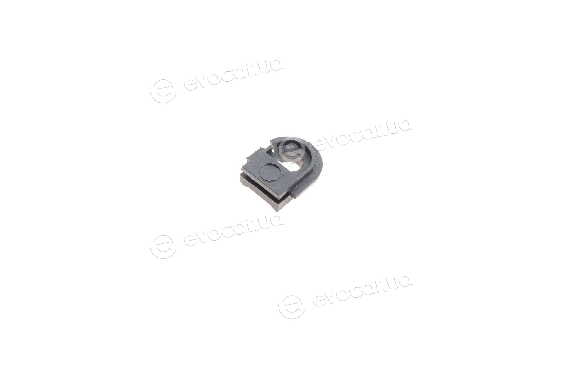 Solgy 113010