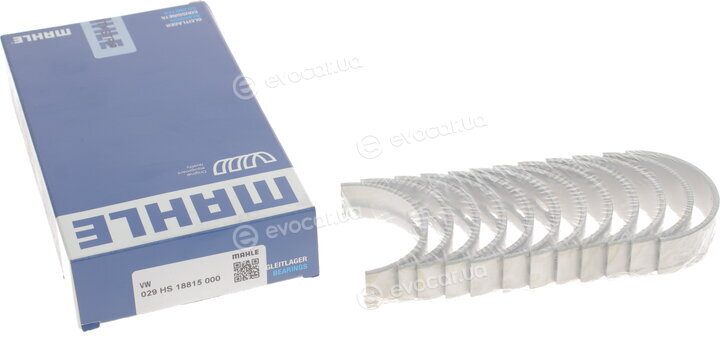 Mahle 029 HS 18815 000