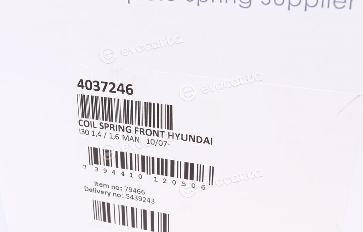 Lesjofors 4037246