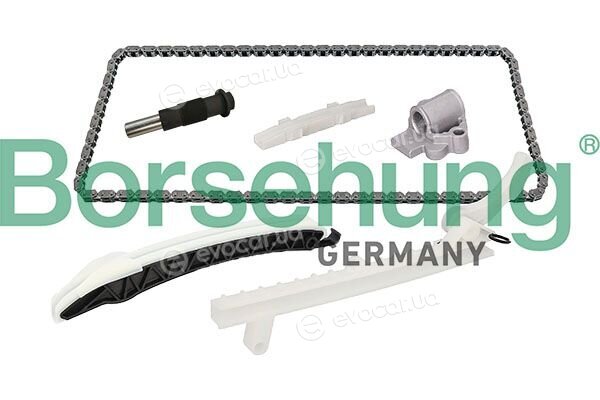 Borsehung B13529