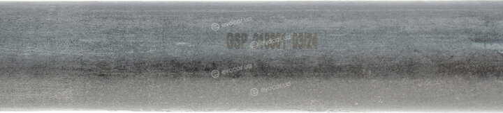 GSP 218301