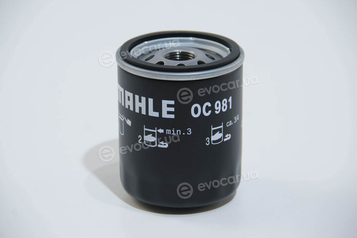 Mahle OC 981