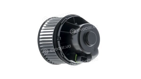 Mahle AB 245 000P