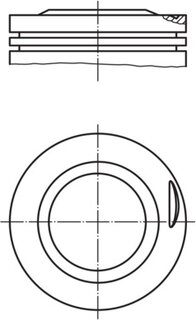 Mahle 002 25 01