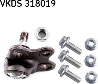 SKF VKDS 318019