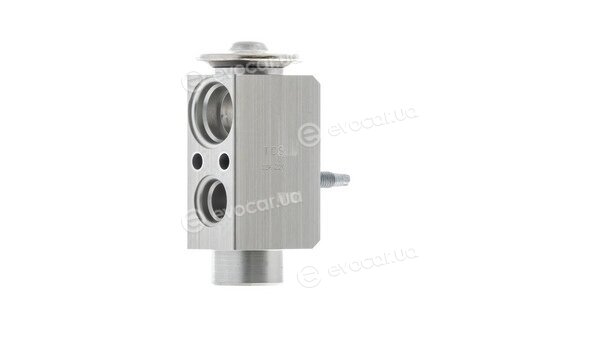Mahle AVE 66 000P