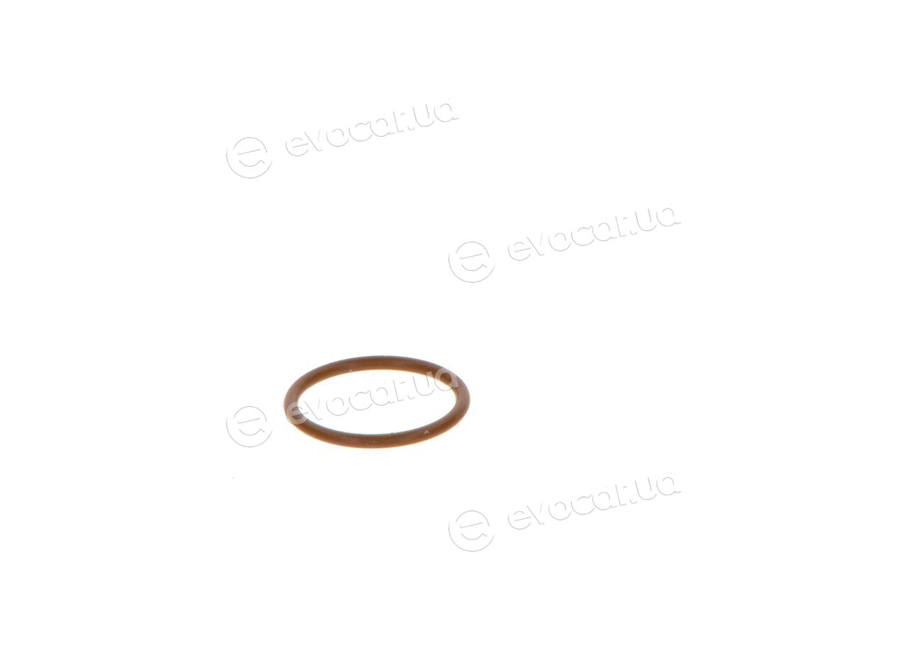 Bosch F 00V P01 005