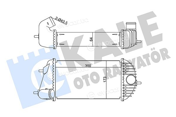 Kale 345130