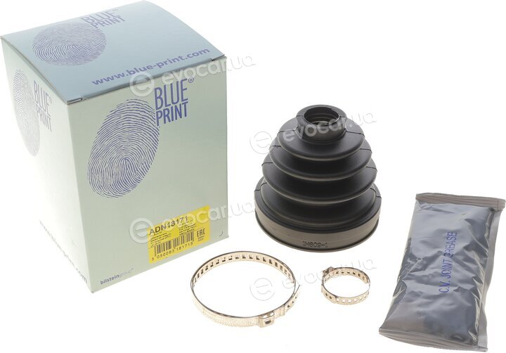 Blue Print ADN18171