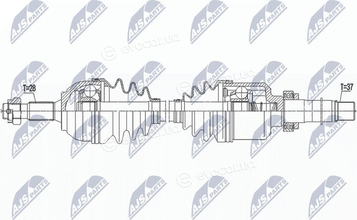 NTY NPW-PE-091
