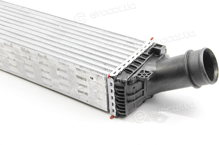 Mahle CI 169 000P