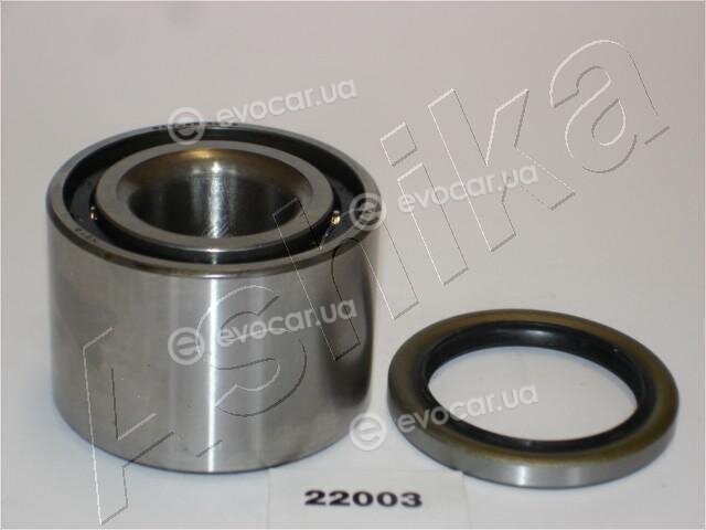 Ashika 44-22003