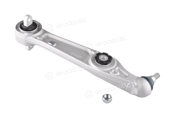 Tedgum TED37734