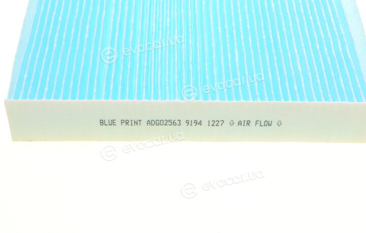 Blue Print ADG02563