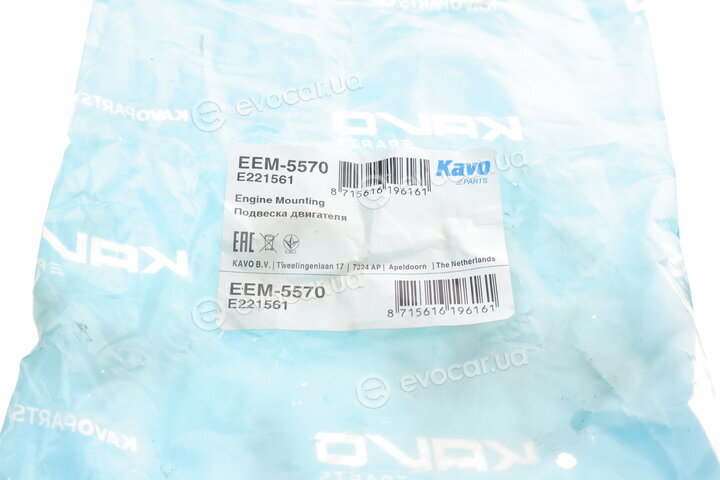Kavo EEM-5570
