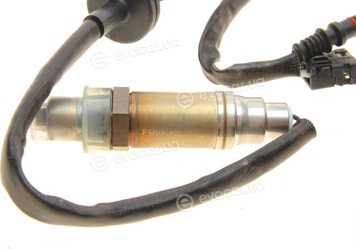 Bosch F 00E 263 287