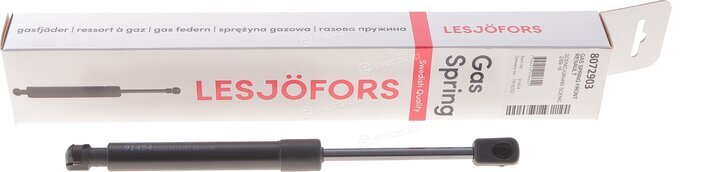Lesjofors 8072903