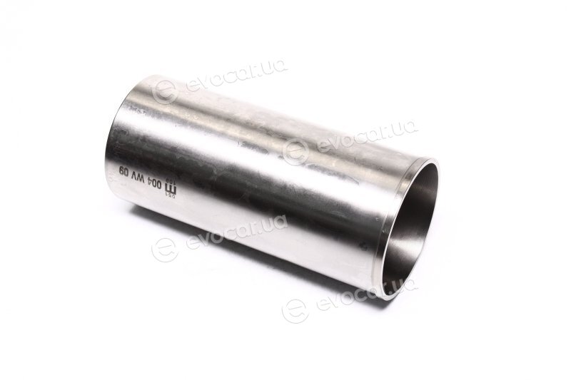 Mahle 004 WV 09 00
