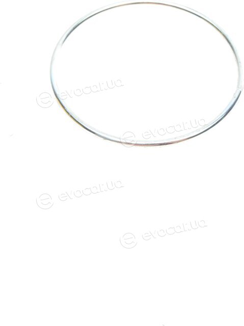 Magneti Marelli 301191619520