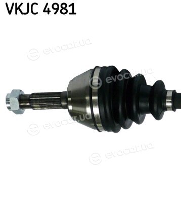 SKF VKJC 4981