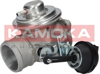 Kamoka 19042