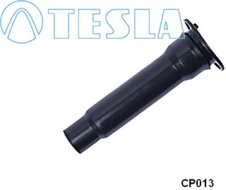 Tesla CP013