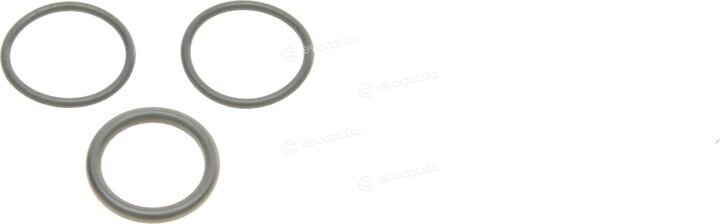 Elring 550.310