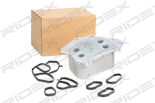 Ridex 469O0032