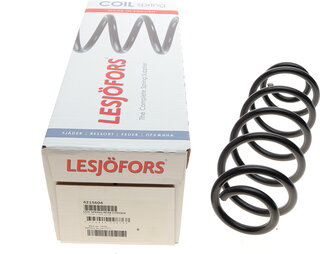 Lesjofors 4215604