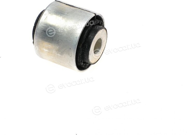 Hutchinson 590520