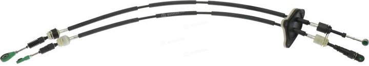 Mopar (PSA / FCA) 55253230