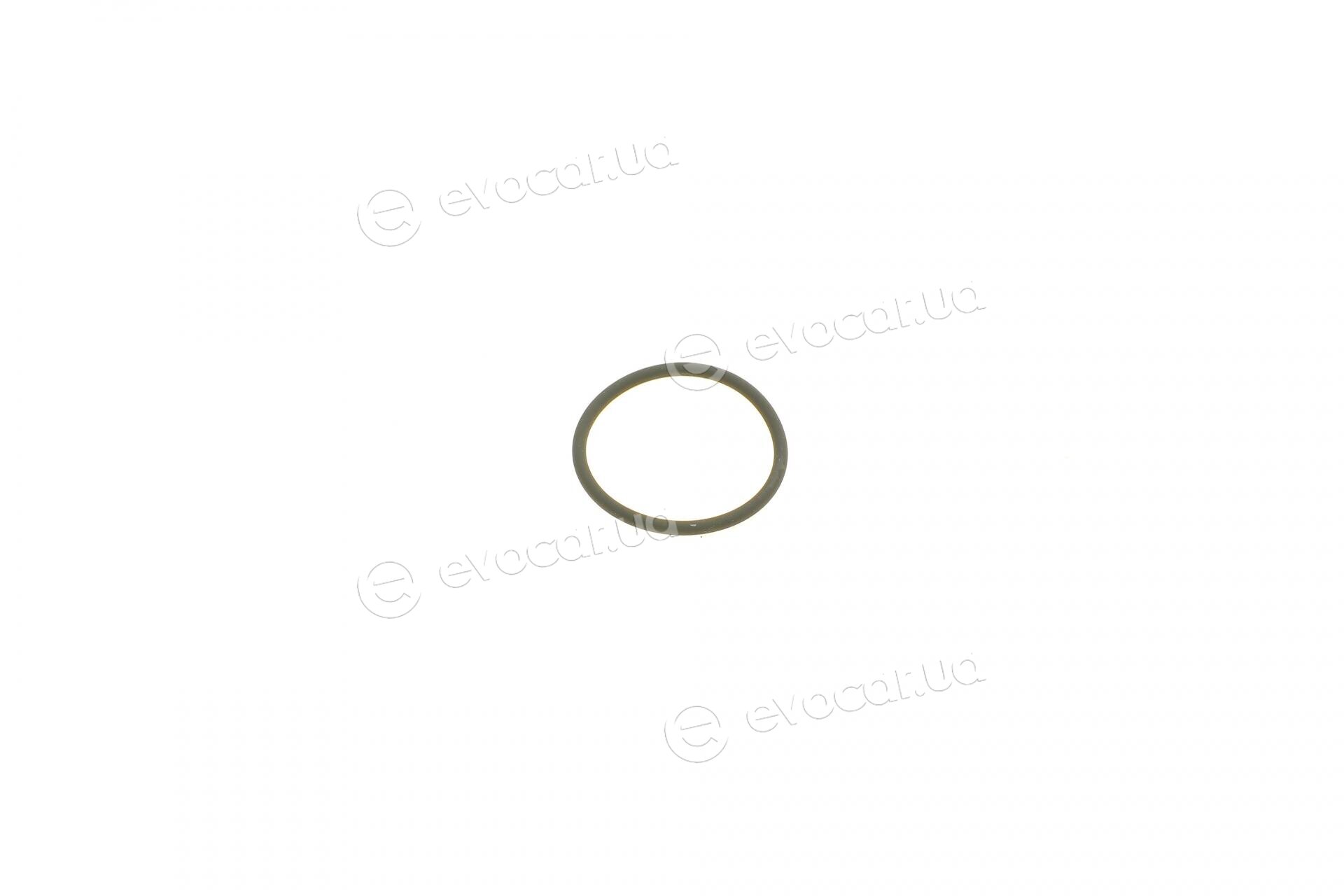 Bosch F 00N 350 001