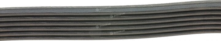 Dayco 6PK1082